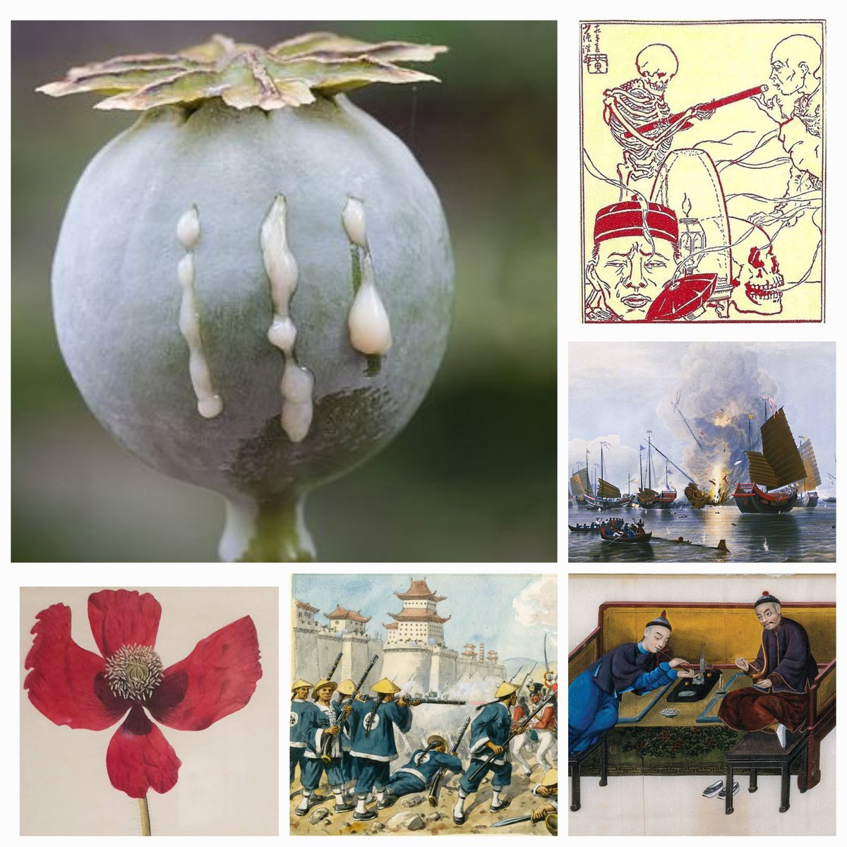 This is an imperial horror story I've been longing to write about for years. Don't miss our new <a href="/EmpirePodUK/">Empire: World History</a> series
VICTORIAN NARCOS-
THE STORY OF THE OPIUM WARS