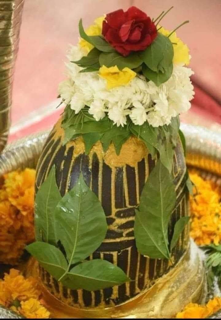 रखना हमेशा देवों के देव महादेव में आस्था 
मिल जाएगा हर मुश्किल से मुश्किल का रास्ता..
#हर_हर_महादेव