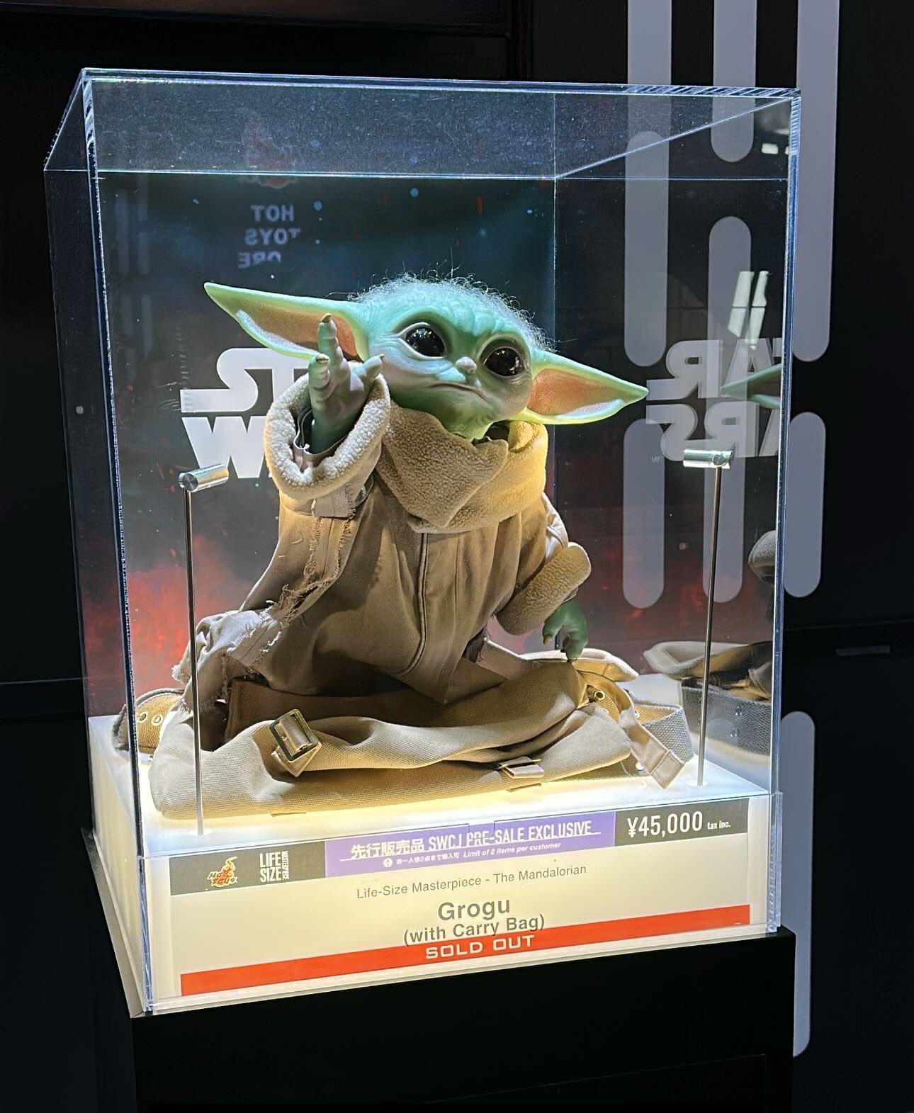 ホットトイズグローグー SWCJ ライブサイズ