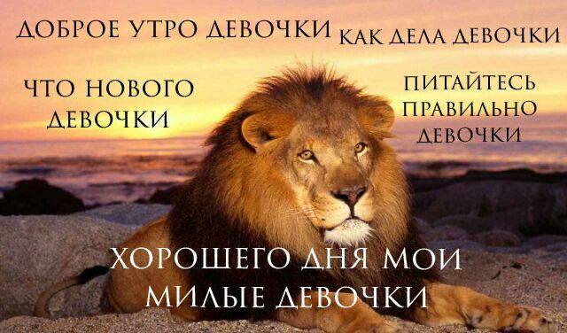 danikashite's tweet photo. мы или не мы, девочки https://t.co/bAZpjOoobh