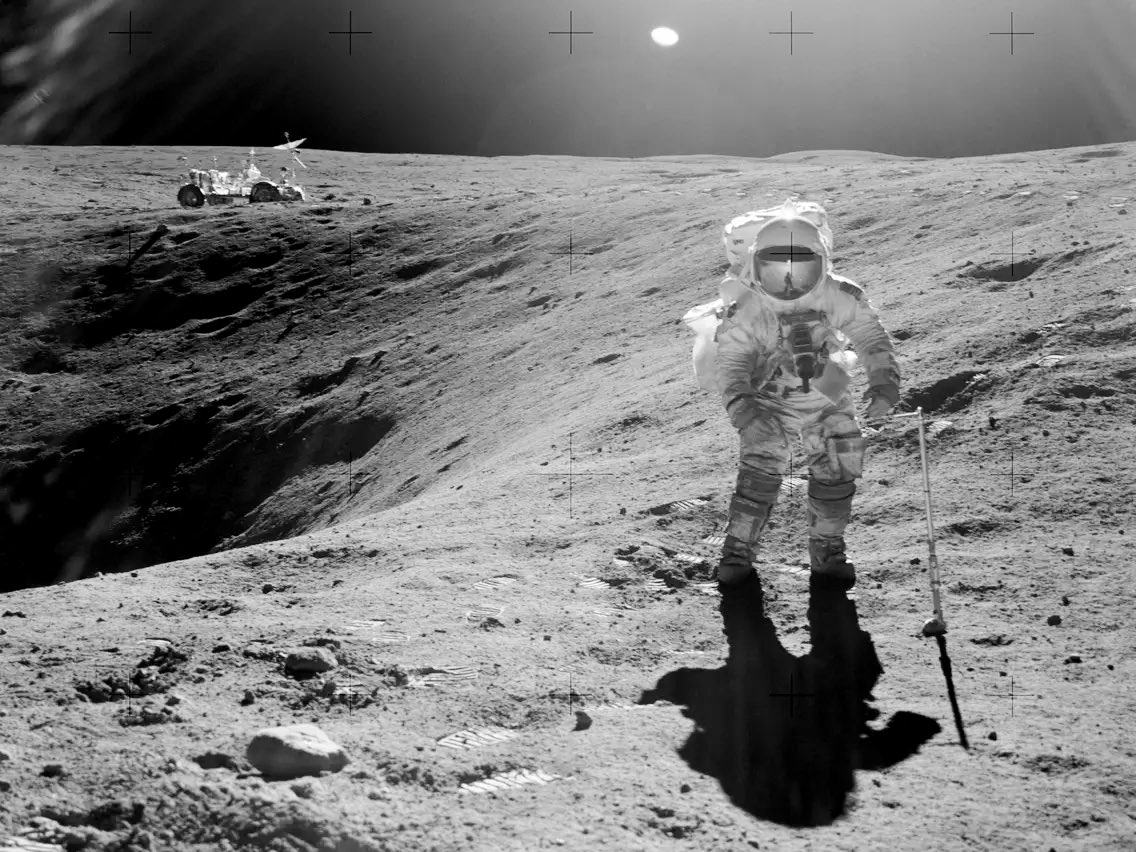 ManWithIntelligence tweet media