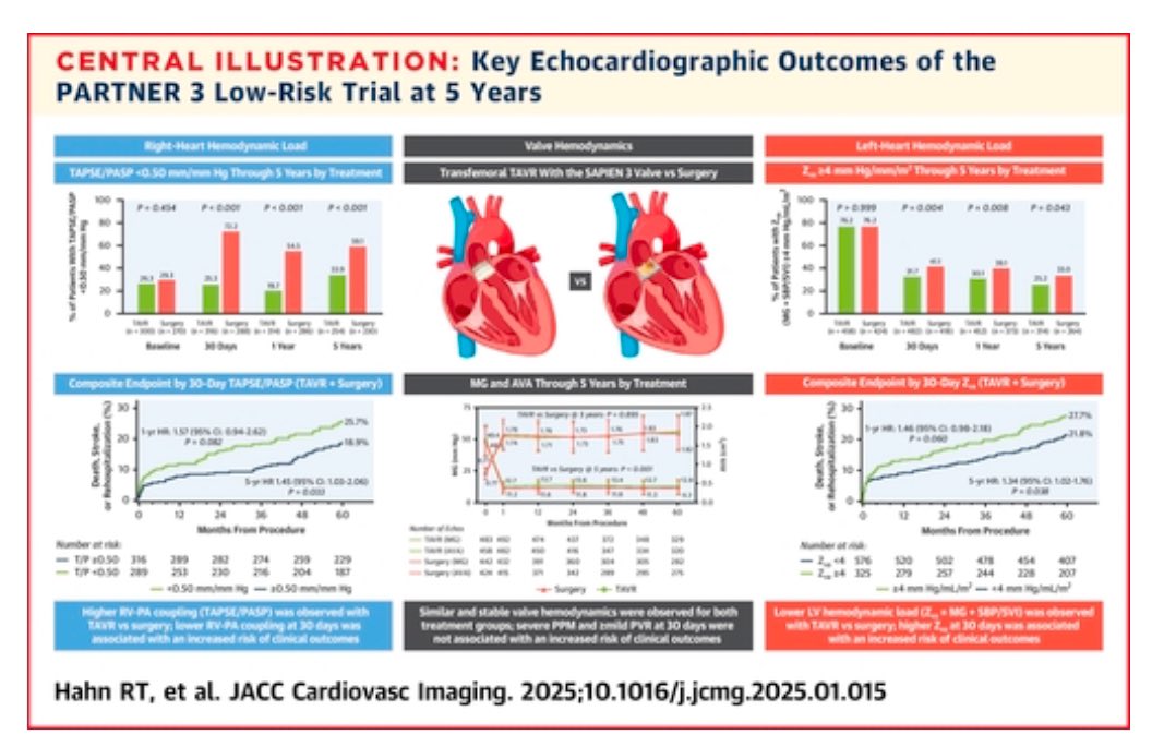 CarlosGiuliani (@cmgiuliani) on Twitter photo PARTNER 3. 5-Year Echocardiographic Results of Transcatheter Versus Surgical Aortic Valve Replacement in Low-Risk Patients.doi.org/10.1016/j.jcmg…
<a href="/JACCJournals/">JACC Journals</a> <a href="/hahn_rt/">RTHahnMD</a> <a href="/PPibarot/">Philippe Pibarot</a> PARTNER 3. 5-Year Echocardiographic Results of Transcatheter Versus Surgical Aortic Valve Replacement in Low-Risk Patients.doi.org/10.1016/j.jcmg…
<a href="/JACCJournals/">JACC Journals</a> <a href="/hahn_rt/">RTHahnMD</a> <a href="/PPibarot/">Philippe Pibarot</a>