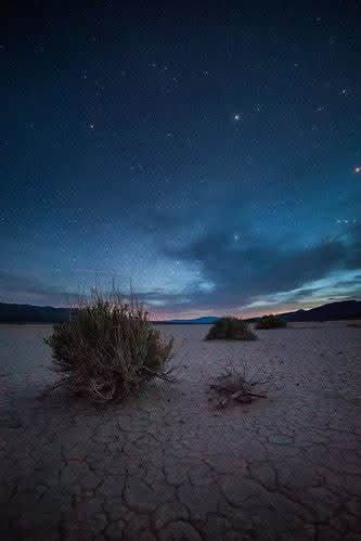 ---- field of stars,✨