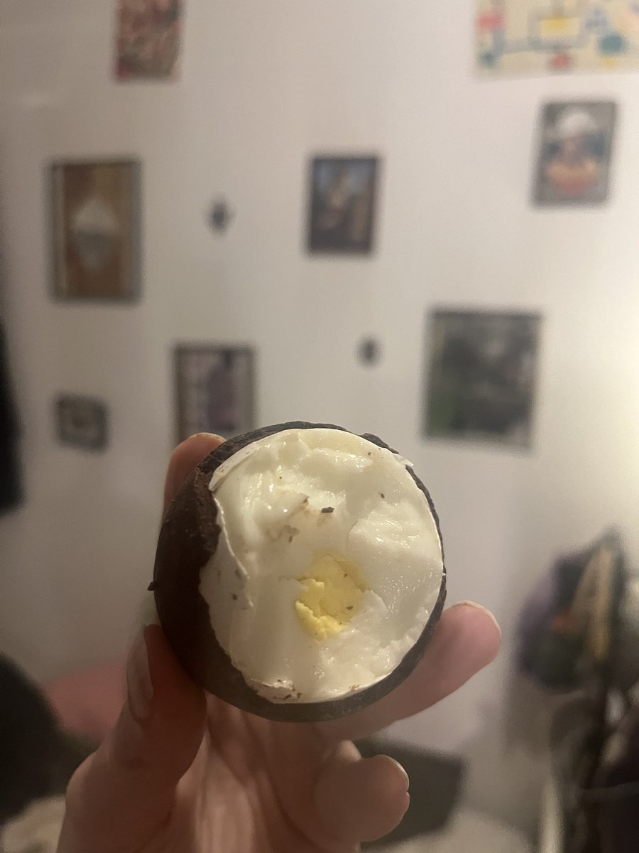 Bleurgh arg urg I got a bunch of hollow chocolate eggs for Easter and i thought one was solid chocolate and bit into it and was like ‘the hell is this nougat texture and inner candy shell it’s too crunchy it’s gross it’s …realistic what the fuck?” IT WAS A REAL EGG EURGH WHY😭