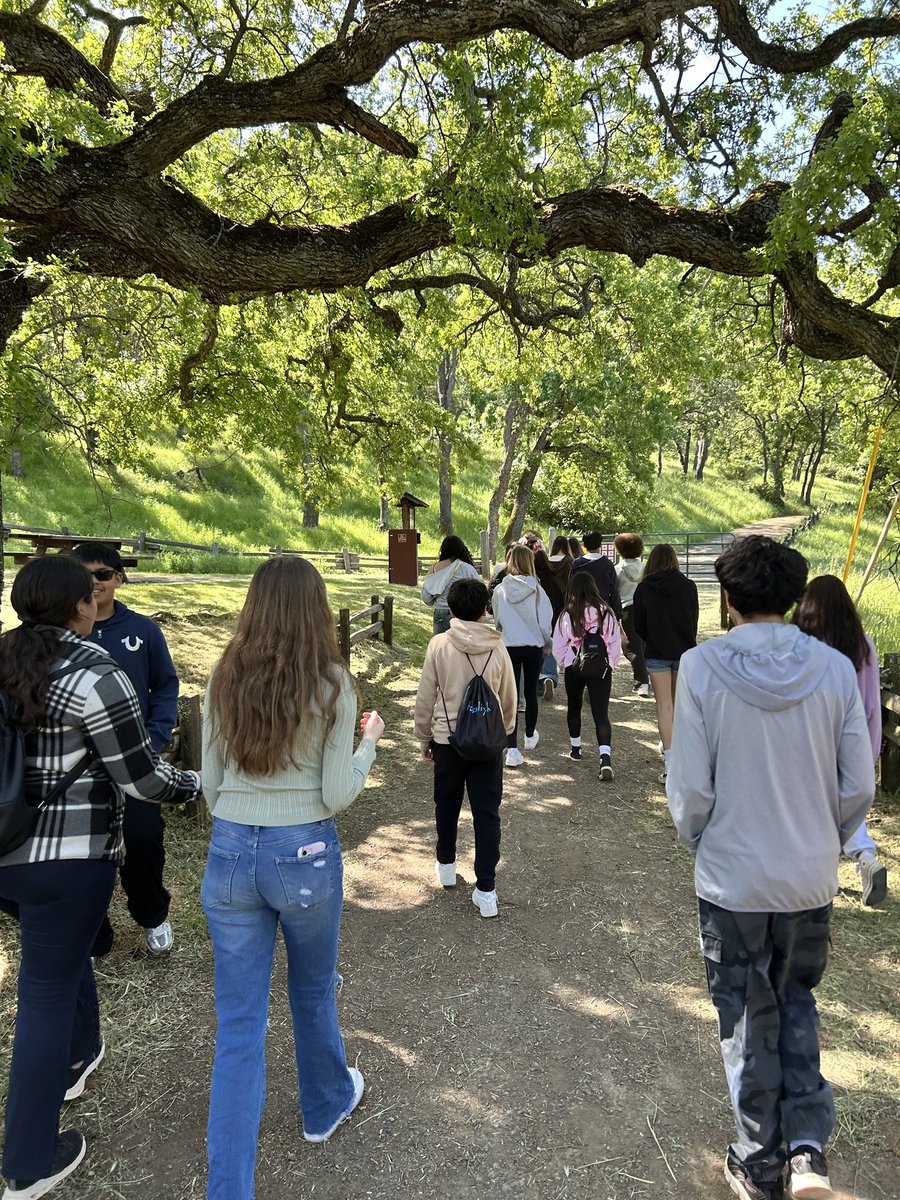 MustangsPHMS's tweet image. We had a great time in our 7th grade hikes today. Thank you to all of the rangers and volunteers at Mt. Diablo @CAStateParks! #PHMSMustangsPRIDE 🐎💚 @MtDiabloUSD