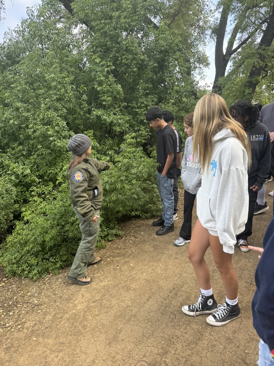 MustangsPHMS's tweet image. We had a great time in our 7th grade hikes today. Thank you to all of the rangers and volunteers at Mt. Diablo @CAStateParks! #PHMSMustangsPRIDE 🐎💚 @MtDiabloUSD