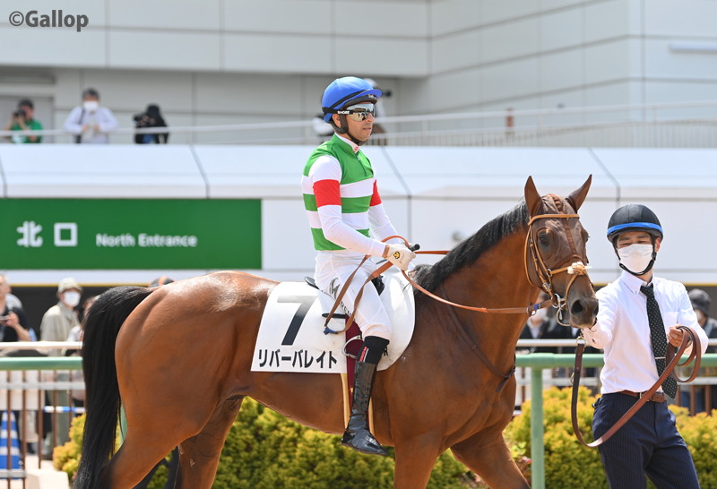 gallop_keiba's tweet photo. 中山5Rは1番人気 #リバーバレイト が勝利！ 
近親にサンブルエミューズ、マルシュロレーヌ、バーデンヴァイラーらがいます。 https://t.co/dZQVEZdTJZ