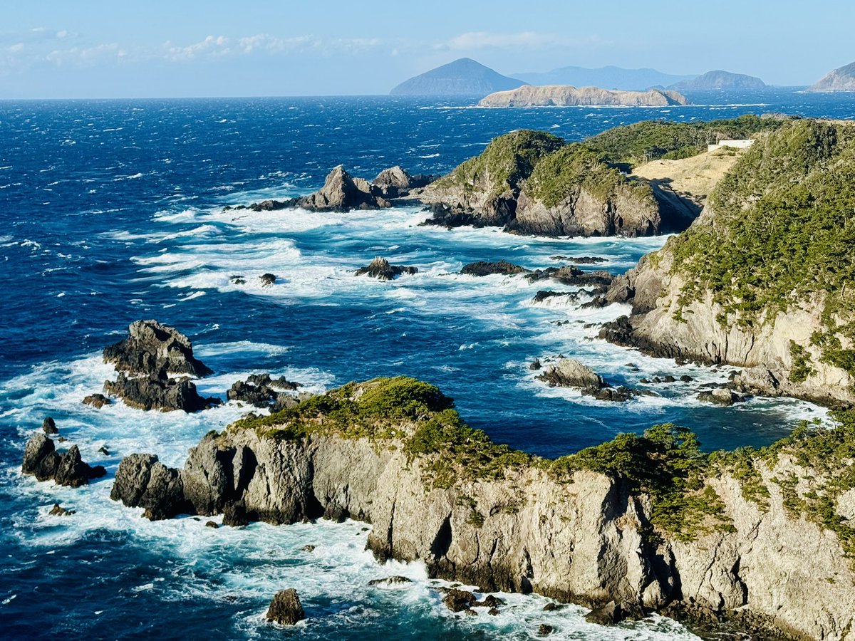 文太 tweet media