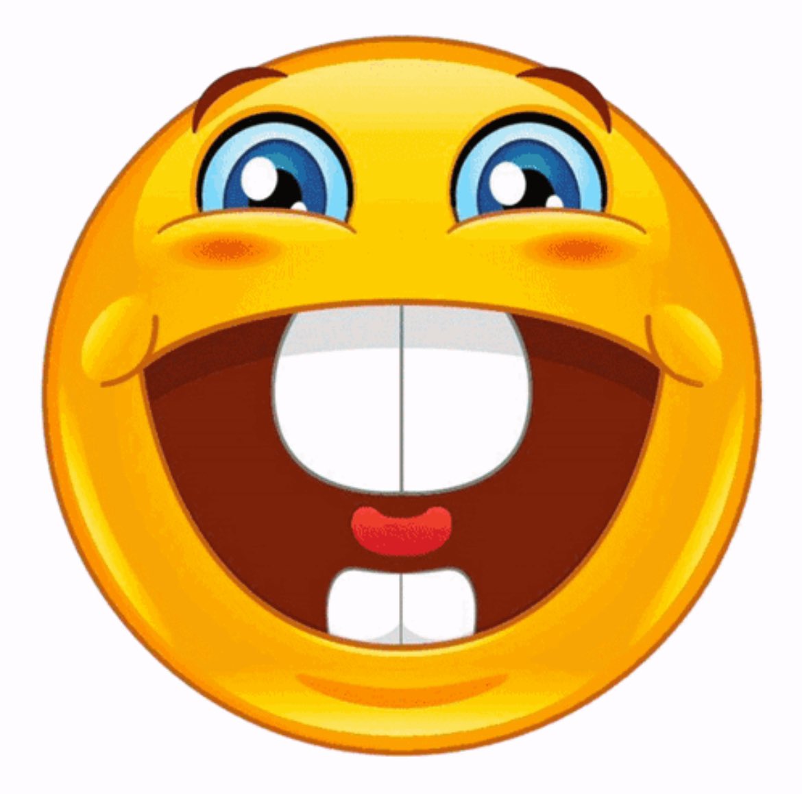 sanny andor tweet media