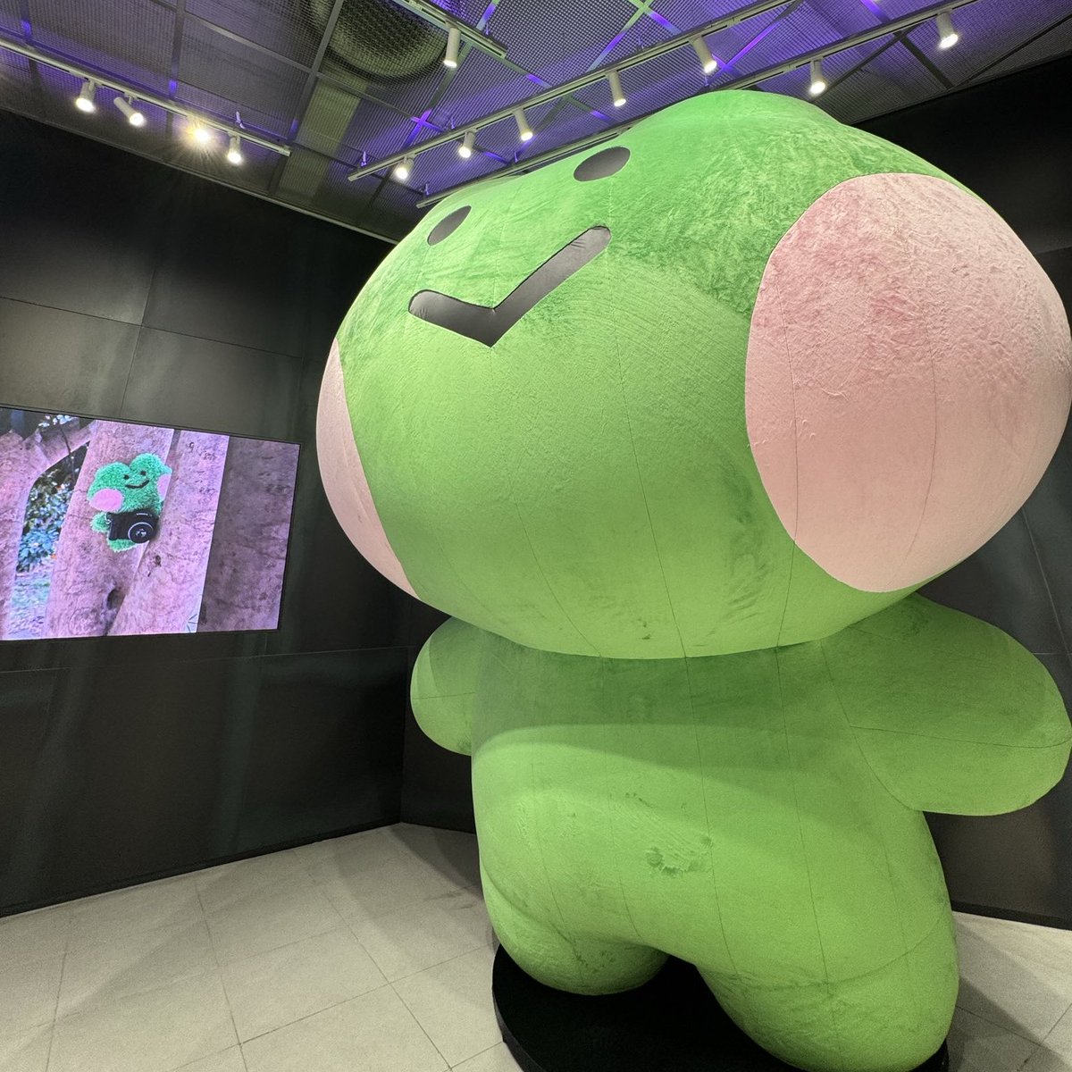 ✧･ﾟ: *use airdrop code*:･ﾟ✧

we smol but anything we do is BIG!
code: minismolbutsometimesgetbig (fcfs)
at minicoin.xyz to apply 

✧･ﾟ: *no rt, no airdrop ✧ no apply, no airdrop.*:･ﾟ✧