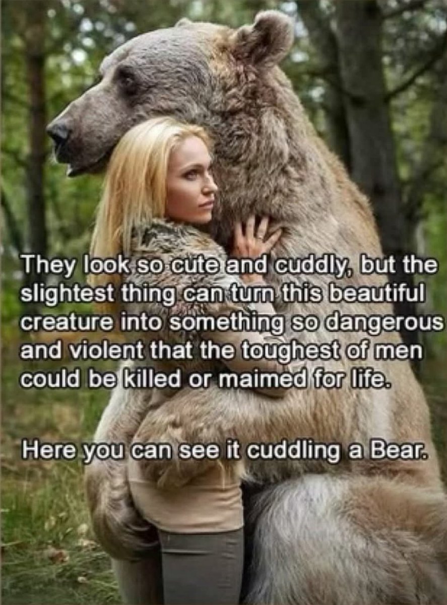 Seen this on FB and laughed my butt off.
#republican #conservative #democrate #liberal #trump #prolife #2A #twogendersonly #women #bear