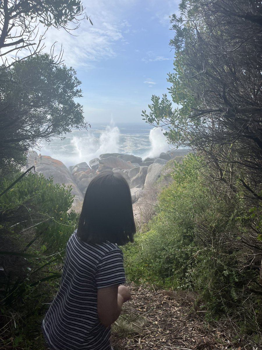 JessBennettTas's tweet photo. Morning walks, wild swells, another perfect East Coast Easter 🌞 https://t.co/ep8NRB9JAh