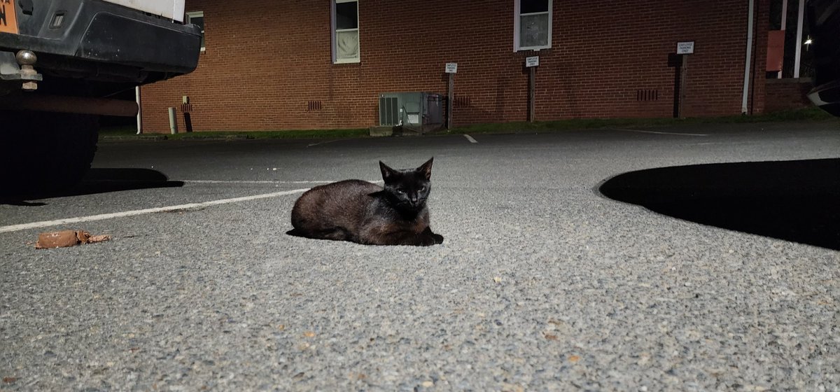 Officer Morton tweet media