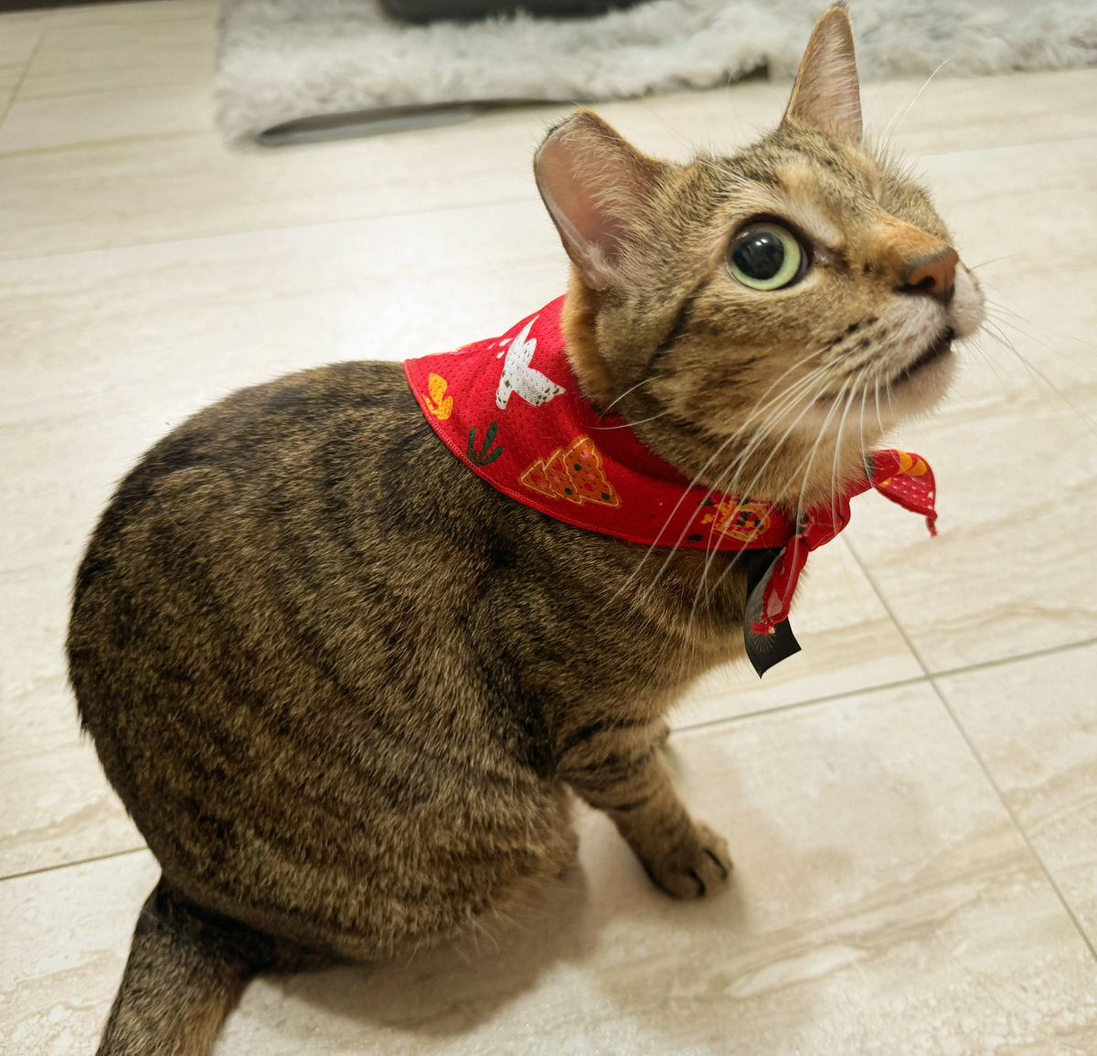 Winkcat1011's tweet photo. Huh? https://t.co/7p3s00Yoea