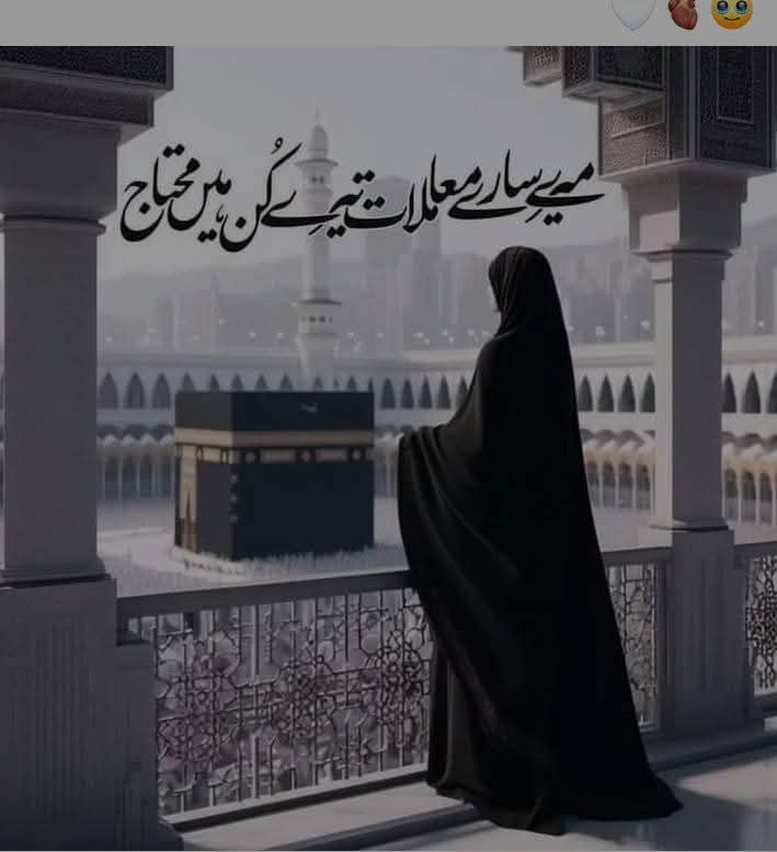 Maxine 🇵🇰 tweet media