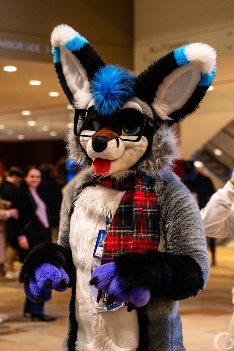 I look very animal here, and this is optimal :3

📸: <a href="/SkepticTheWolf/">SkepticTheWolf</a>