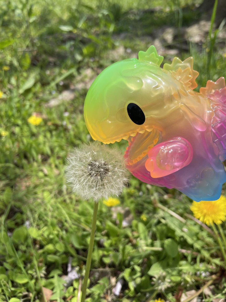 今日は天気がいいのに休日出勤〜
昼休みにパシャリ📸
#ziqiDino