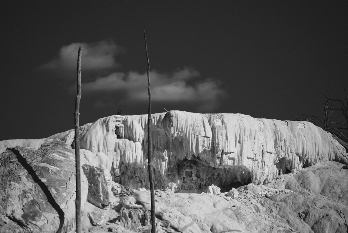 Heather N. Stout (@heathernstout) on Twitter photo 