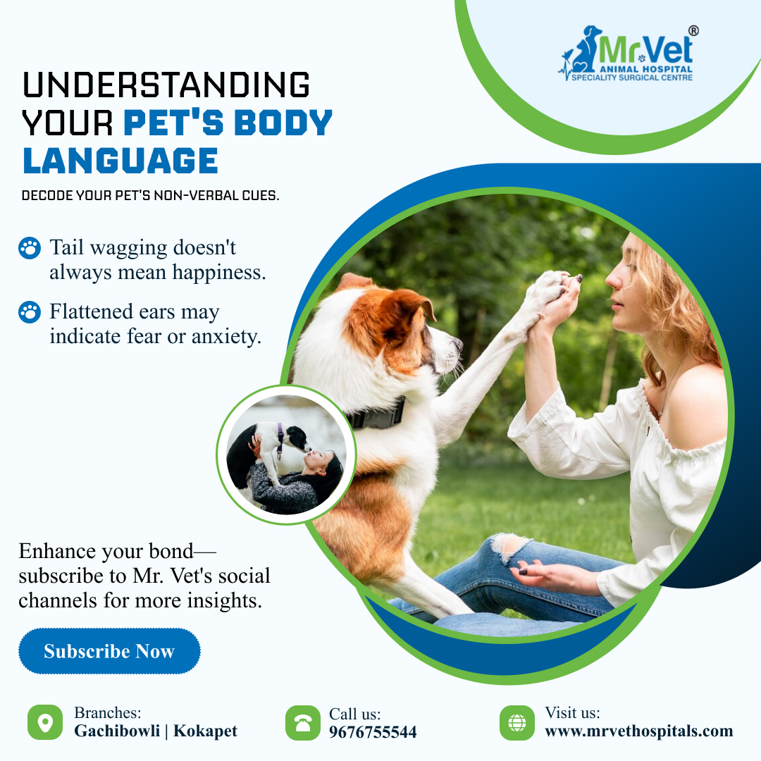 mrvethospital's tweet photo. Understanding Your Pet's Body Language
Decode your pet's non-verbal cues.
Book your consultation today!
Call 📞 96767 55544  or visit us. https://t.co/xnBVkovWUB
#petcare #PetCareServices #petcaretips #petcareservices #petcareprofessionals #petcareprovider #veterinary #Veterinary https://t.co/lY5p4m9OH7