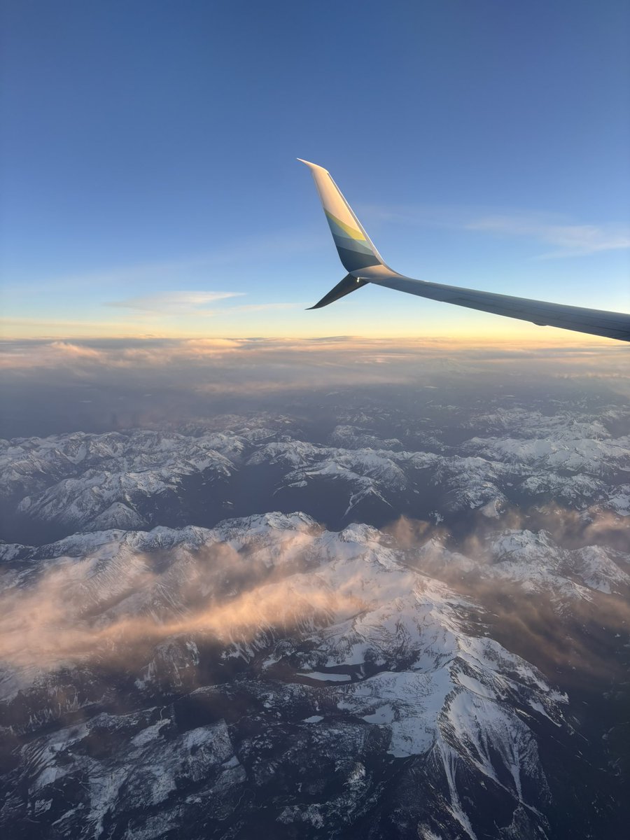 Surf Toy tweet media