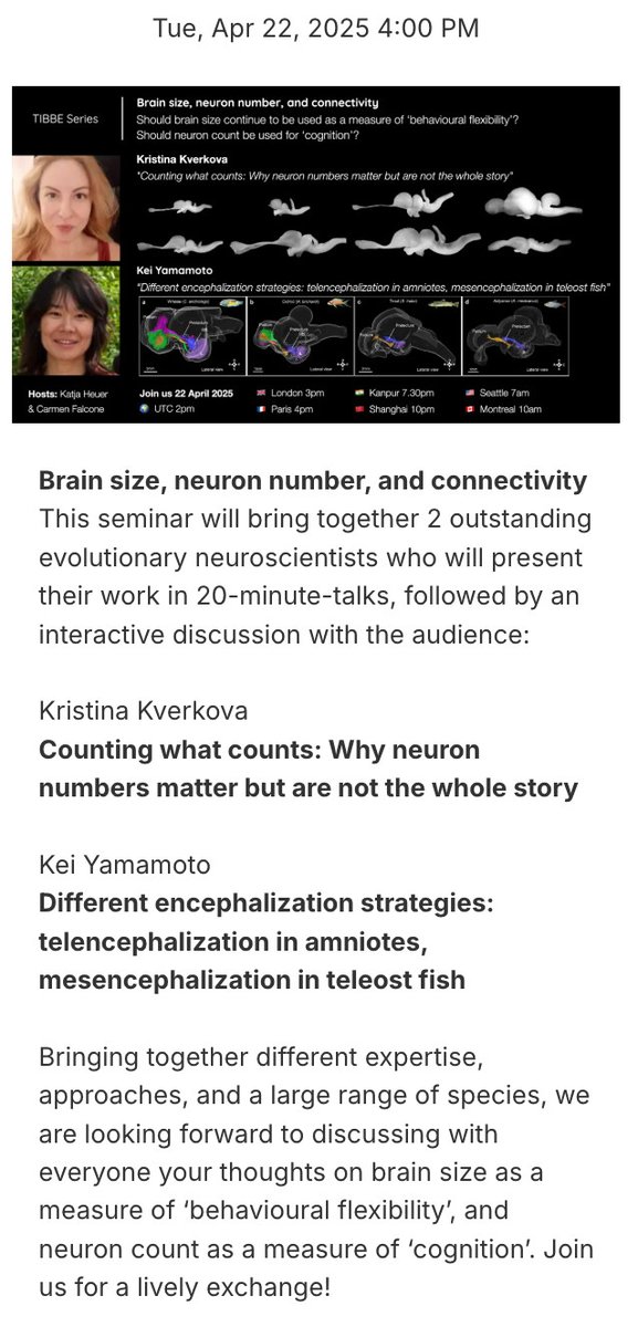 The 1st seminar features talks by Kristina Kverkova on "Counting what counts: Why neuron numbers matter but are not the whole story" and Kei Yamamoto on "Different encephalization strategies: telencephalization in amniotes, mesencephalization in teleost fish".