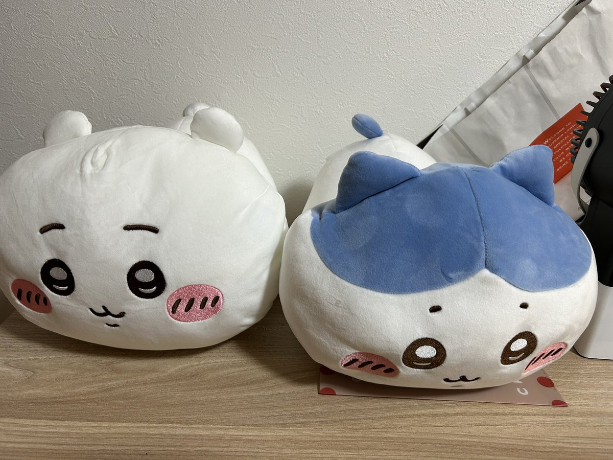 kazu09145's tweet photo. 出かけるたび荷物が増えてる🌱
ゲームセンター、UFOキャッチャー https://t.co/MkMewYKLOr