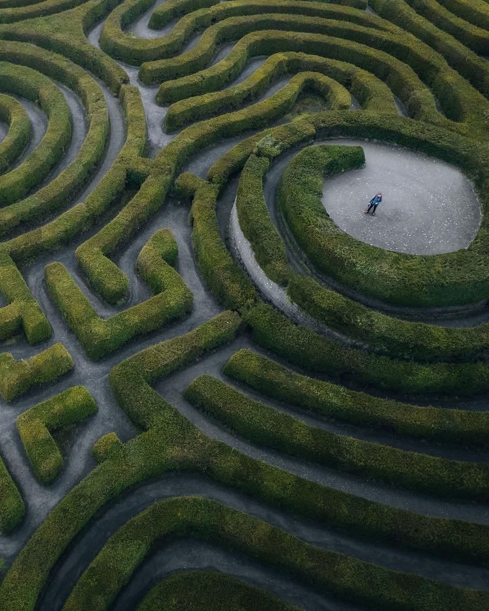 Amazing Lost 🔍⁠ 🇮🇪