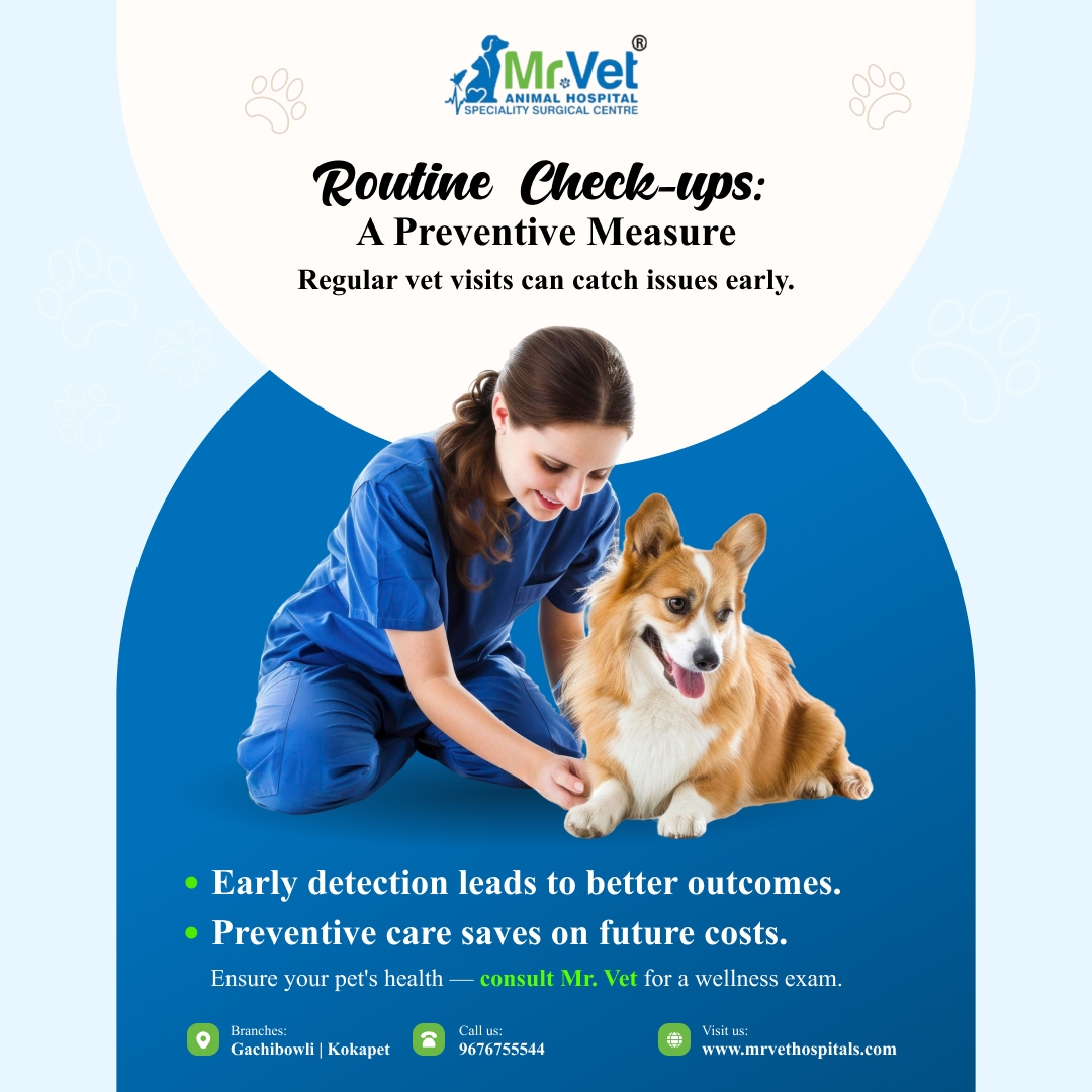 mrvethospital's tweet photo. Routine Check-ups: A Preventive Measure
 Regular vet visits can catch issues early.
Book your consultation today!
Call 📷 96767 55544  or visit us. https://t.co/xnBVkovp53
#petcare #PetCareServices #petcaretips #petcareservices #petcareprofessionals #petcareprovider #veterinary https://t.co/7IzkmDtbxk