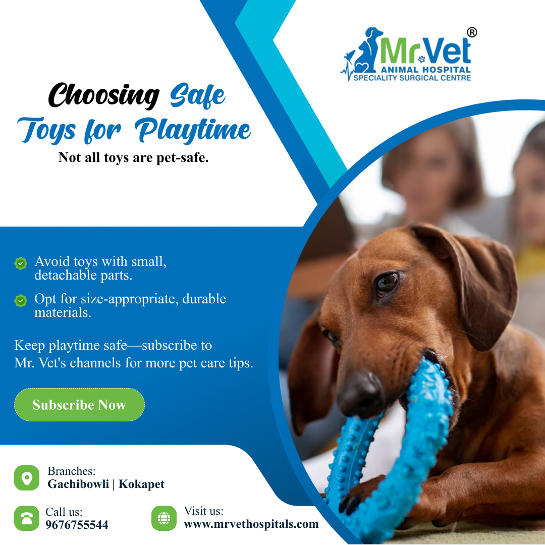mrvethospital's tweet photo. Choosing Safe Toys for Playtime
 Not all toys are pet-safe.
Avoid toys with small, detachable parts.

Book your consultation today!
Call 📷 96767 55544  or visit us. https://t.co/xnBVkovWUB
#petcare #PetCareServices #petcaretips #petcareservices #petcareprofessionals https://t.co/5VC4bQYZEK