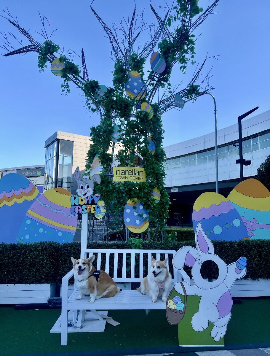wyarreden's tweet photo. Winter and Peaches celebrating Easter 🐰🐾💜
.
Happy Easter 🐣 
.
#CorgiNamedWinter #CorgiNamedPeaches #TheGals   #DunkFamily  #AustralianCorgi  #Corgi https://t.co/59KnIHDIZA