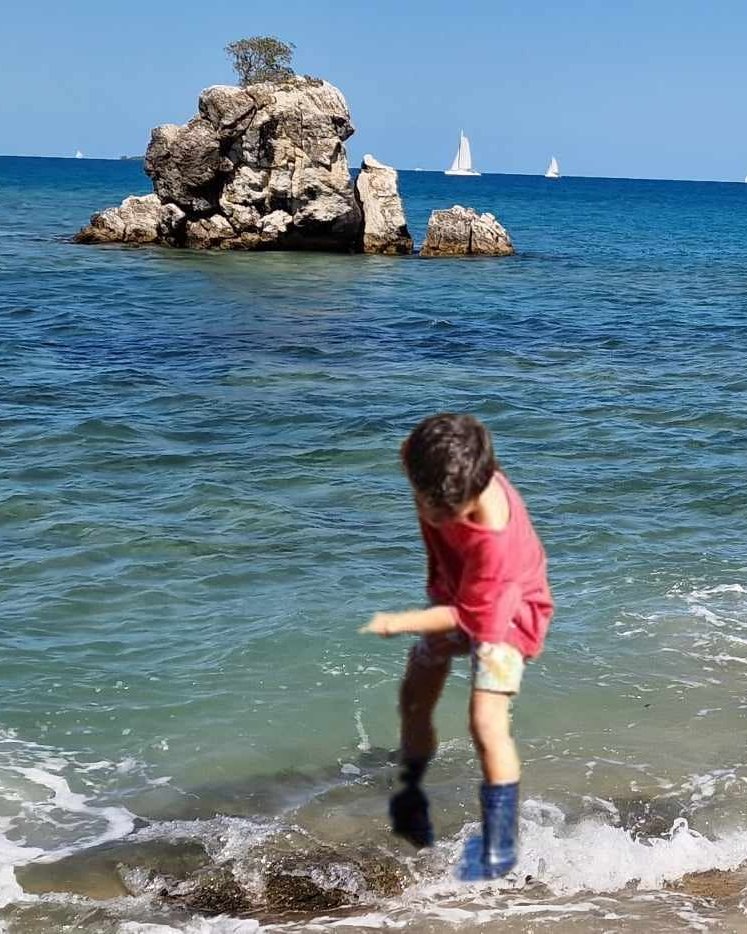 vallondore's tweet photo. Coup de pêche aux poulpes 🐙 🐙 🐙 en Calédonie par un mlnot https://t.co/RnoYBpAm9k