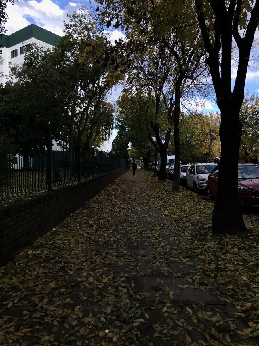 la vida es más hermosa cuando es otoño