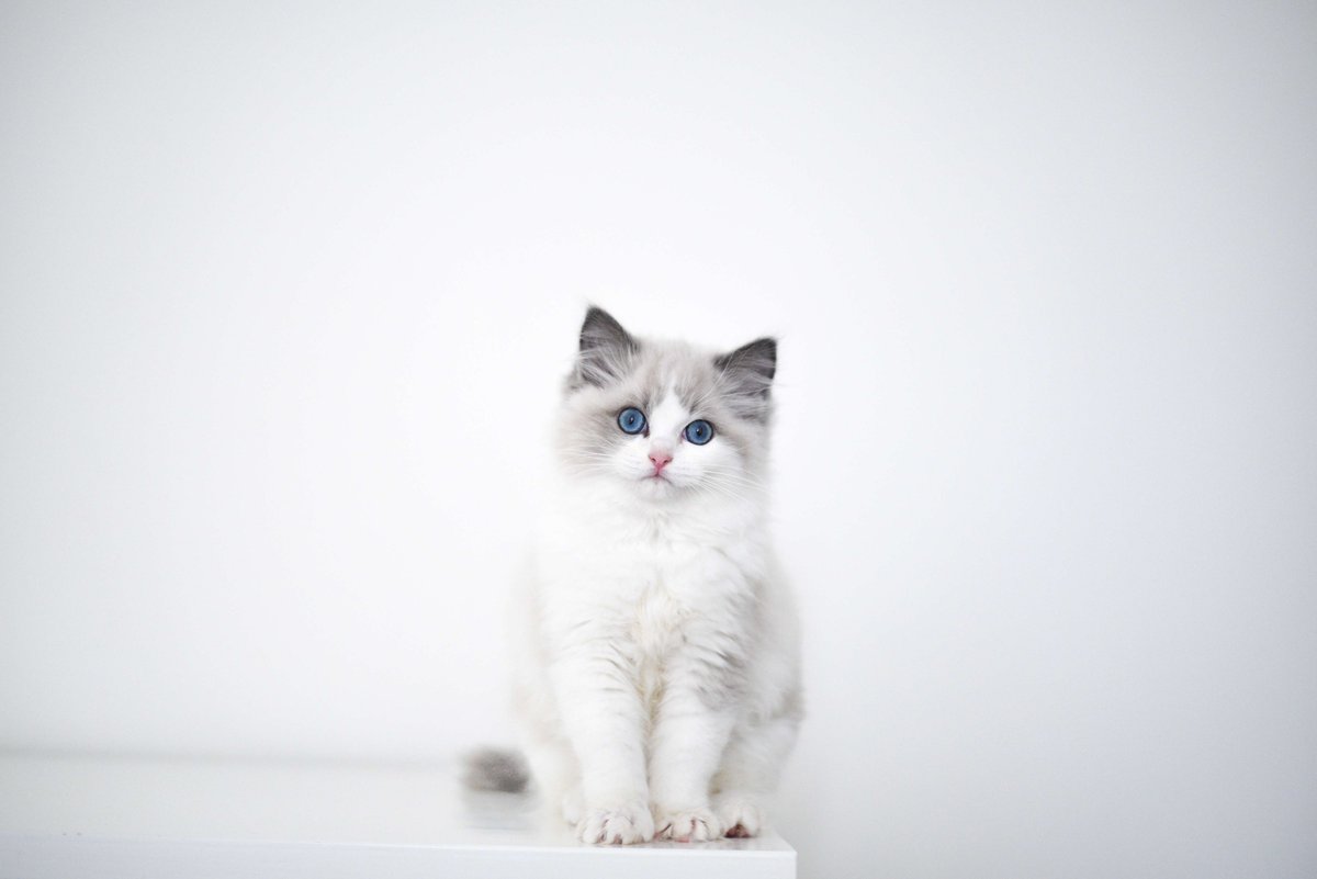 hi this is Duyu
she only cried for one whole hour on the way home