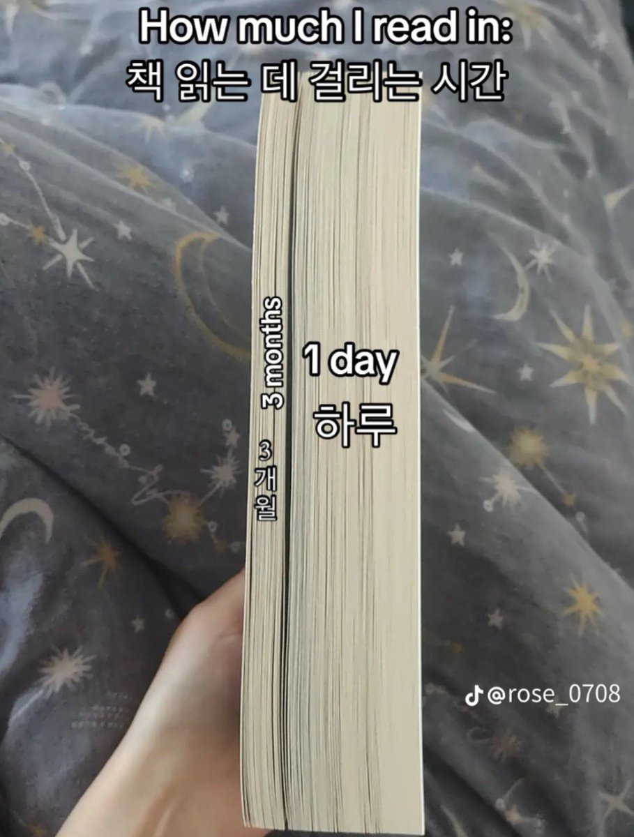 짤백업용 tweet media