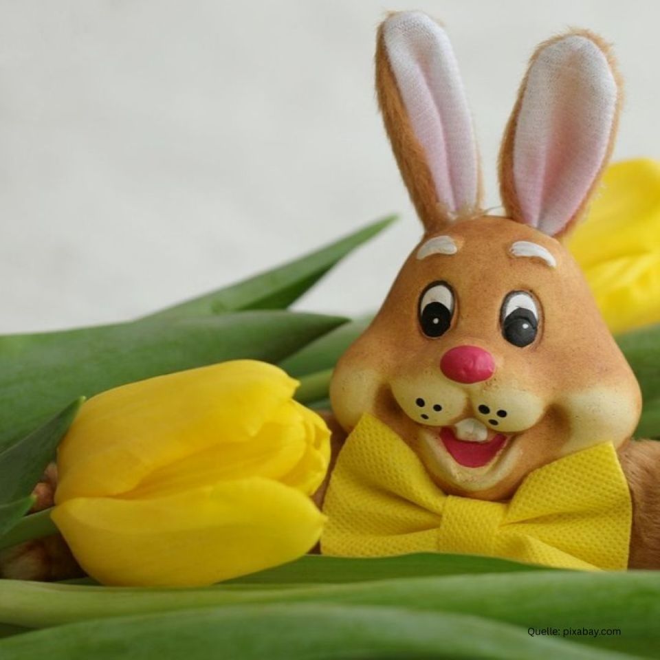 +++ Frohe Ostern 2025 +++
Liebe Kunden, heute am #Ostersamstag sind wir in der #AVIE #DeverPark #Apotheke von 9:00 bis 19:00 Uhr für Sie da. Wir wünschen Ihnen und Ihren Liebsten ein wunderschönes #Osterfest, entspannte #Feiertage und viele kleine #Glücksmomente.