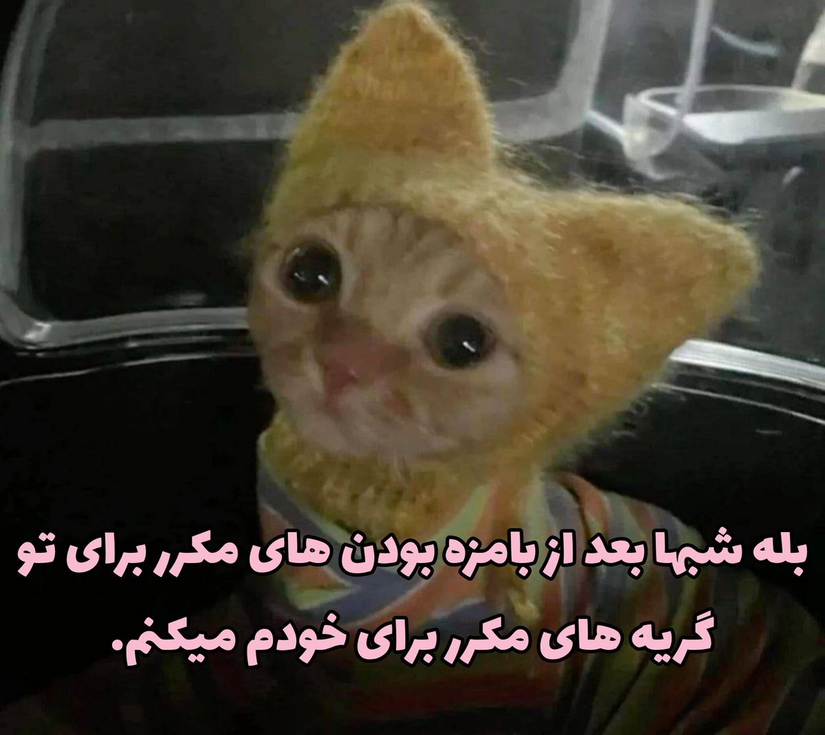 متوسط (@motavasetesad) on Twitter photo 