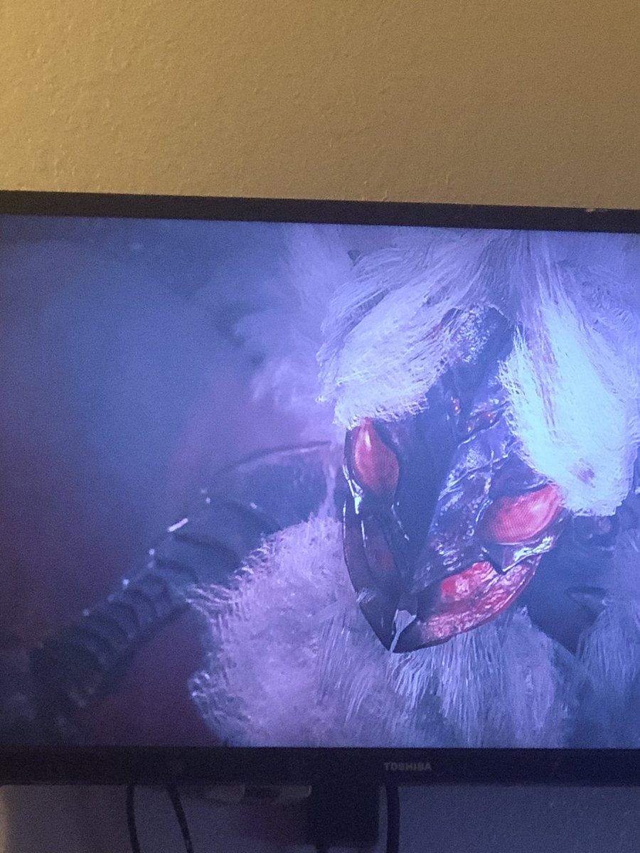 Demonfloof27181's tweet photo. NOPE YOU MAY BE MY FAVORITE BECAUSE YOUR PRETTY BUT YOU STILL ARE A GIANT SPIDER https://t.co/Erq2mrROsv