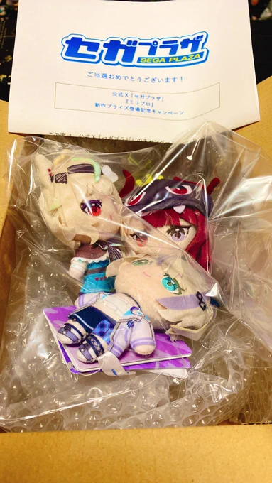 当たったの届いた₊·*◟(˶╹̆ꇴ╹̆˵)◜‧*・ ミリプロのぬい デカイの持ってたから小さいの嬉しい໒꒱· ゜