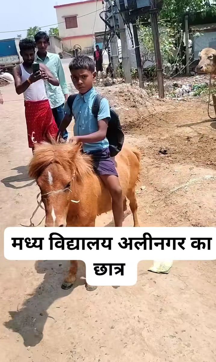 syed_chamansonu's tweet photo. मेरे पैतृक गृह क्षेत्र अलीनगर विधानसभा का अनोखा मामला –
विकास के दावे घोड़े की सवारी से बेनकाब!
MLA बोले – 'विकास हो रहा है'…
छात्र बोला – 'हां, तभी तो अब साइकिल नहीं, घोड़े से स्कूल जाता हूं! @BiharEducation_ @sunilkbv @officecmbihar @NitishKumar
@EduMinOfIndia
#Alinagar #LISA https://t.co/VqaPkD1aWs