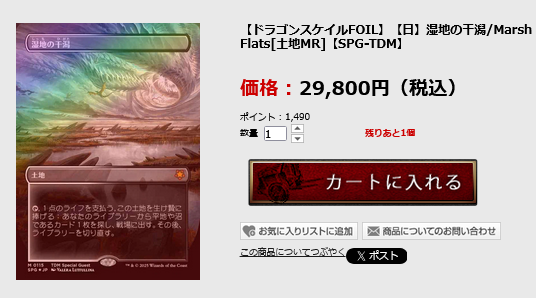 ドラゴンスケイルfoil】 湿地の干潟 1枚 日本語