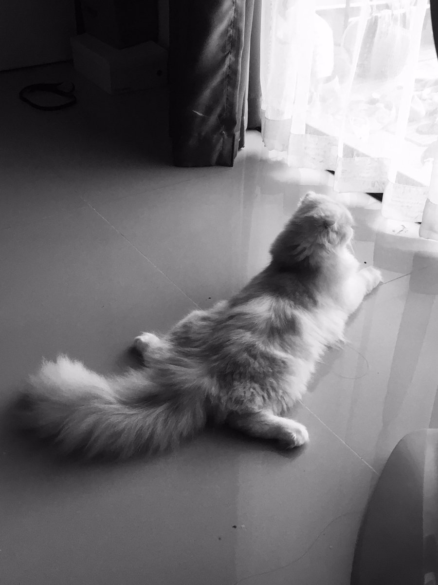 moctarig's tweet photo. https://t.co/fAKO7StsQH