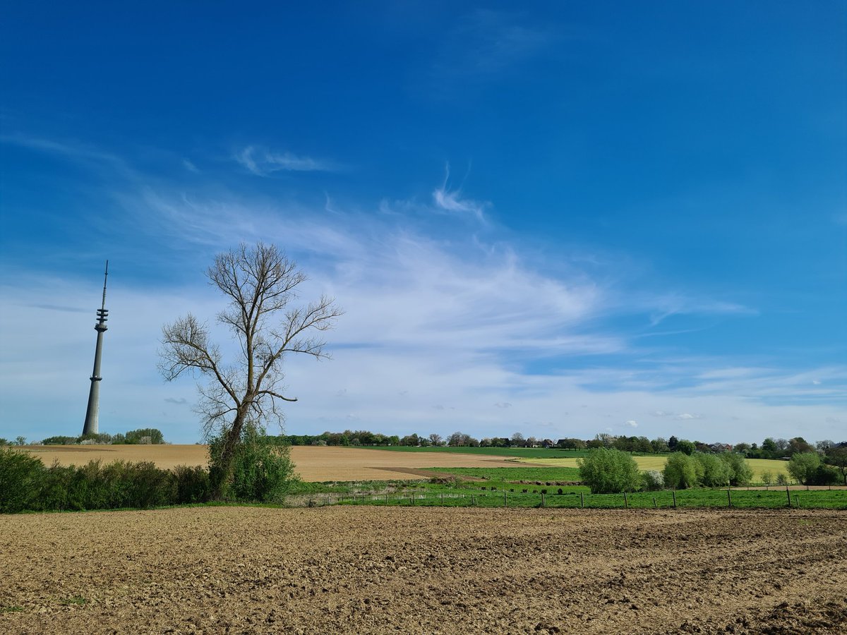 Weerstation Pajottenland tweet media
