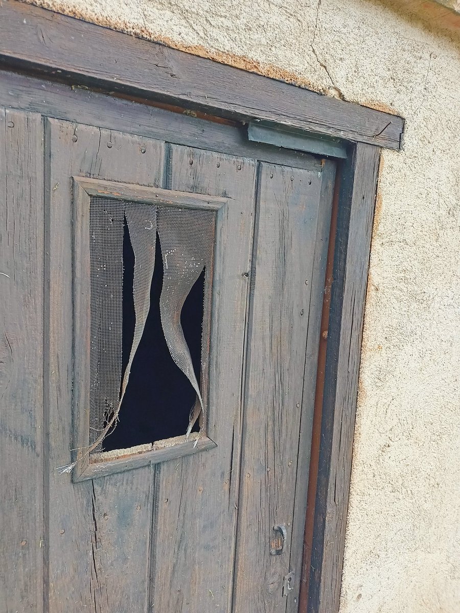 Arbres morts tombats, pous secs, córrecs eixuts, feixes i barraques abandonades: la majoria dels horts del meu país ja semblen vestigis d'una antiga civilització