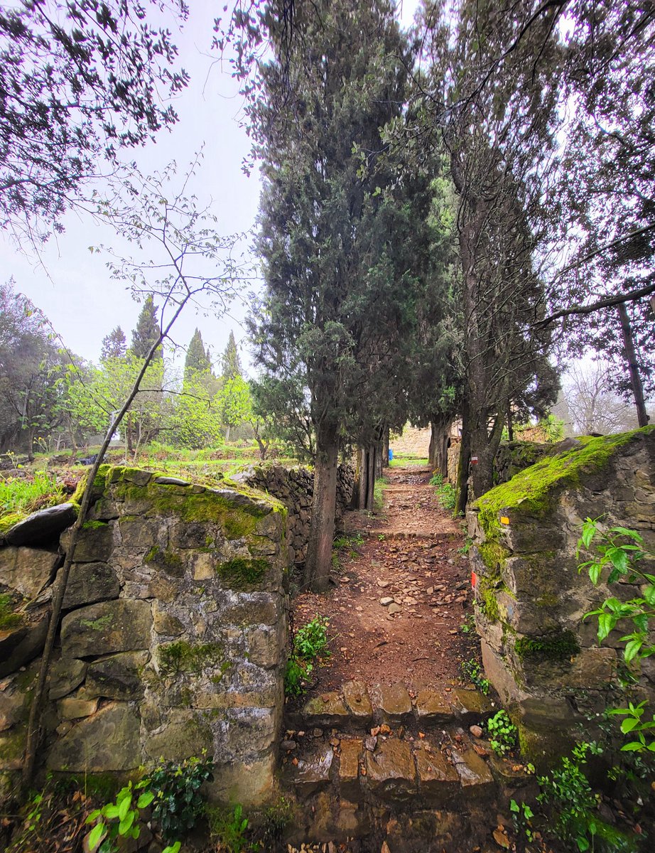 Balateu's tweet photo. Matí de visita obligada al Sant Sepulcre de Palera (Beuda). El dia amb la llum més esperançadora 🙏
#SantSepulcreDePalera #Beuda
#DissabteSant #Besalú #Palera #ComtatDeBesalú #Jerusalem https://t.co/32rWbqW1Eo