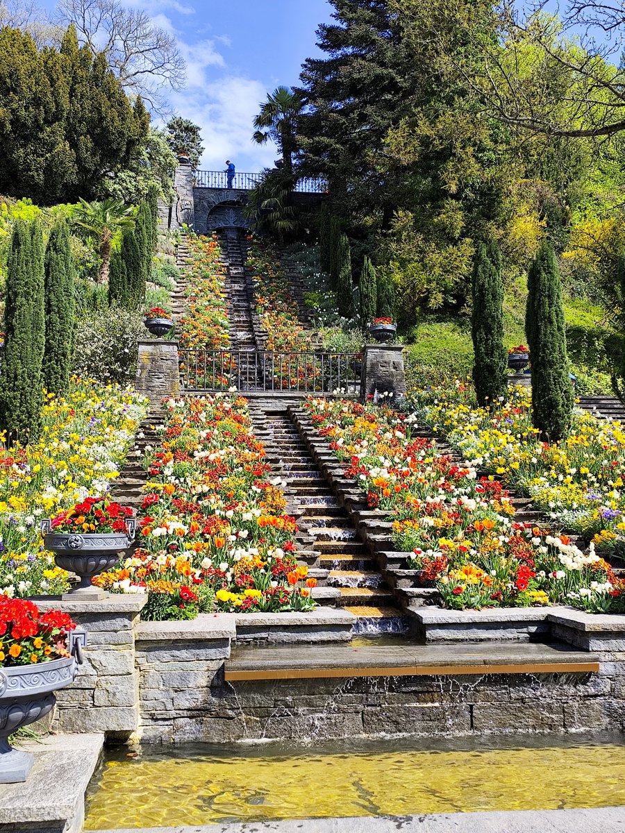 Trip auf die Insel Mainau