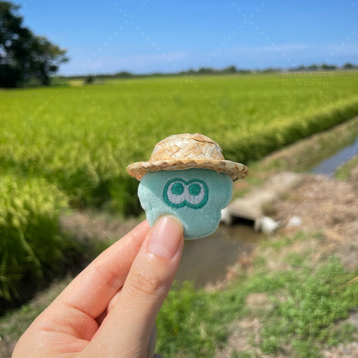 はるた🐟🫧 tweet media