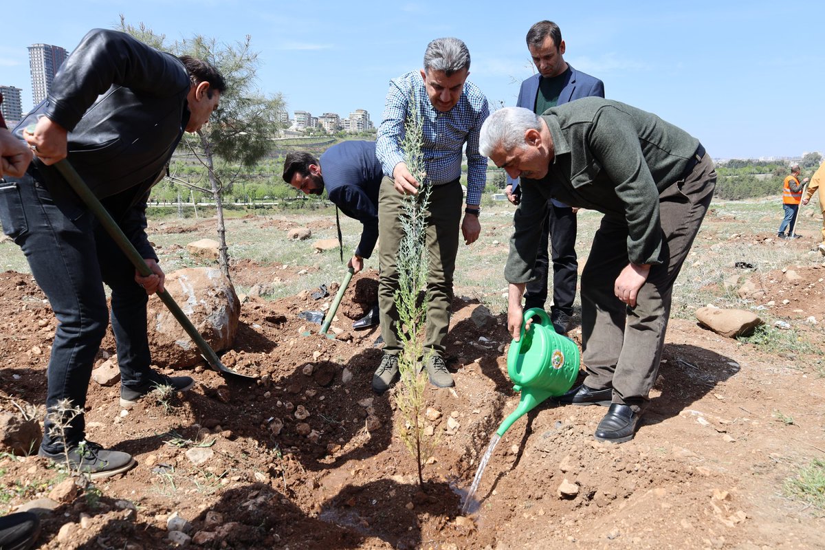 akpartiurfa's tweet photo. 2/ 📍Fidan Dikme Etkinliği

Ormanlarımızı atalarımızdan kalan bir miras değil gelecek nesillerimizin bir emaneti olarak görüyoruz. 

Yeşeren her bir yaprak, çocuklarımız için daha yeşil ve yaşanabilir bir gelecek arzumuzu temsil ederken, birlik ve dayanışma duygularımızı da güçlendirecek. 

@milhamigunbegi @abuyukgumus @ZehraAy0663 @furkankucukk_