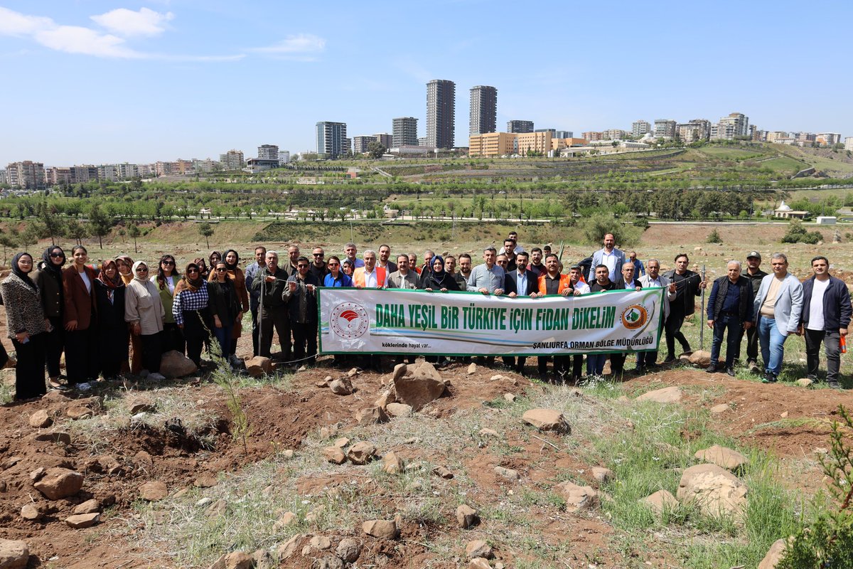 akpartiurfa's tweet photo. 2/ 📍Fidan Dikme Etkinliği

Ormanlarımızı atalarımızdan kalan bir miras değil gelecek nesillerimizin bir emaneti olarak görüyoruz. 

Yeşeren her bir yaprak, çocuklarımız için daha yeşil ve yaşanabilir bir gelecek arzumuzu temsil ederken, birlik ve dayanışma duygularımızı da güçlendirecek. 

@milhamigunbegi @abuyukgumus @ZehraAy0663 @furkankucukk_