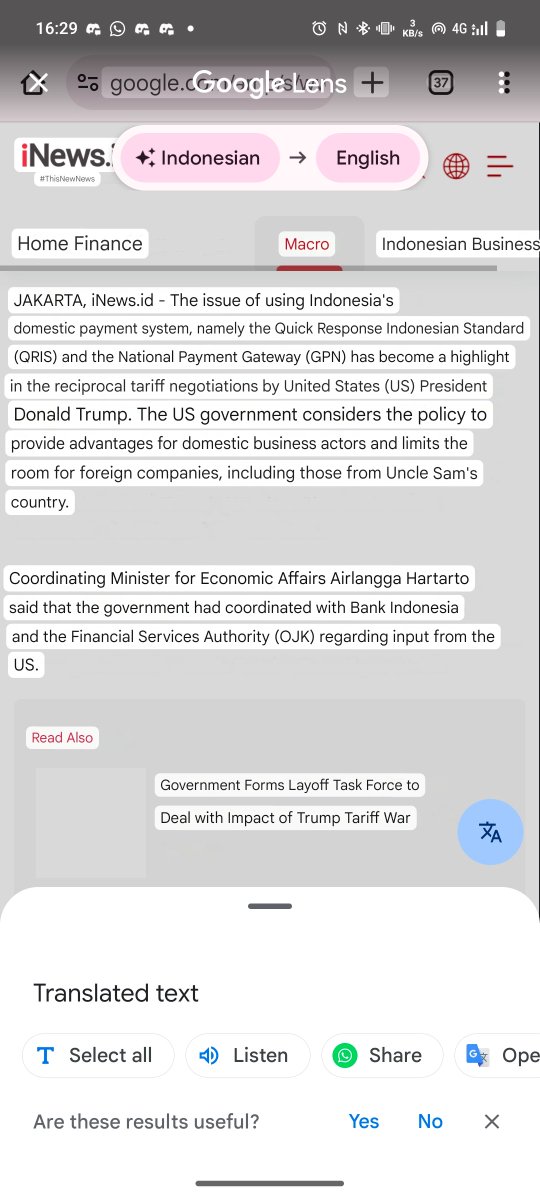 林 Linnamon tweet media