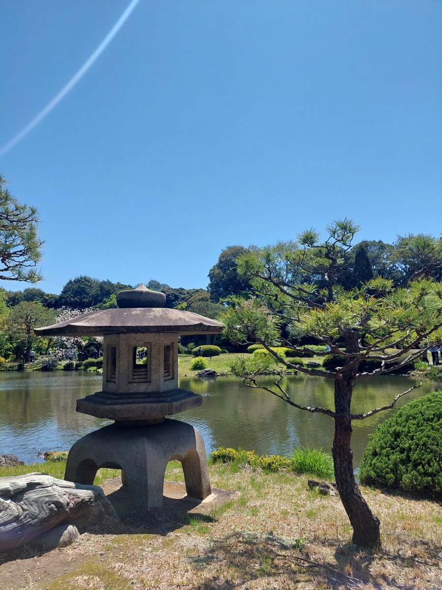 luv_chinchillin's tweet photo. Ahhh Japan in April..already wanna come back here. Another world. Truly stunning. https://t.co/Chr15YWgbh